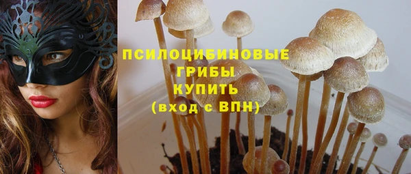 кокс Арсеньев